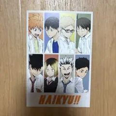 ハイキュー!!東武動物公園2025 スタンプラリー特典ポストカード