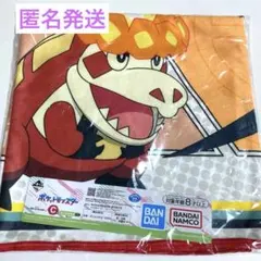 ポケモン　1番くじ　ビッグタオル　アチゲータ　タイカイデン　匿名発送