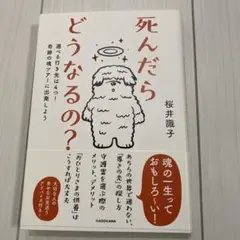 死んだらどうなるの? 選べる行き先は4つ!奇跡の魂ツアーに出発しよう
