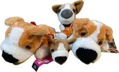 Item thumbnail for item 729d1a07-83ba-41a4-8f15-d7ed318e725e