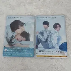 美しい彼 ビジュアルブック 2冊セット