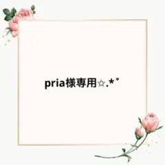 pria様 リクエスト 2点 まとめ商品