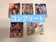 12種セット 女子プロレス マリーゴールド アクスタ アクリルスタンド