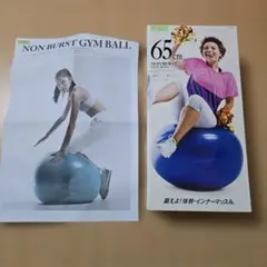 65cm バランスボール PVC製