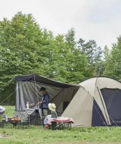 2025年最新】アーストリッパー2の人気アイテム - メルカリ