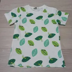 Item thumbnail for item acd40023-c657-4a41-bb5e-83d926129251