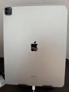 Ipad pro m2 12.9in wifi