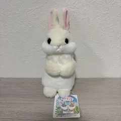 うさちっち　ST　ばにらっち　うさぎぬいぐるみのサムネイル
