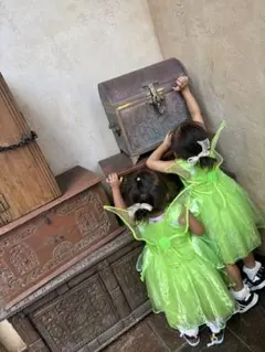 ティンカーベル コスチューム 羽根付き