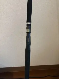 2025年最新】ダイワ ジギングロッド キャタリナの人気アイテム - メルカリ