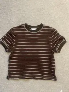 TODAYFUL ボーダー柄 クロップド丈 Tシャツのサムネイル