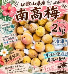 和歌山県紀南産 完熟紅南高梅 2㎏ 秀品 4L - メルカリ