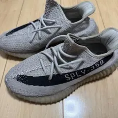 adidas YEEZY Boost 350V2 