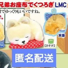 柴犬 豆柴 わんこ いぬ 犬 ボールチェーン キーホルダー プライズ品