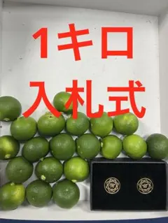 ハウススダチ　家庭用　約3キロ　即発送 ハウススダチ 家庭用 約1キロ 入札式 - メルカリ