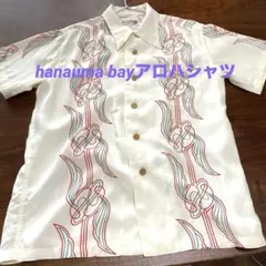 Item thumbnail for item 52f553c6-0512-407e-bc7b-fed13d240c69