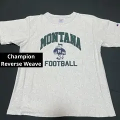 【レア・美品】Champion Reverse Weave Mサイズ プリントT