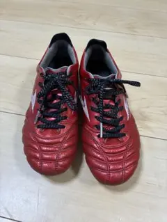 Mizuno 40周年 モレリア ネオⅣ JAPAN 23.0㎝