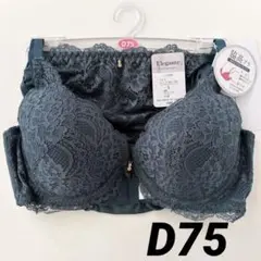 エレガンテ　ブラジャー　ショーツセット　D75 レース　サイドストリングショーツのサムネイル