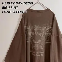 USA製HARLEY DAVIDSON ハーレーダビッドソン長袖TシャツロンT