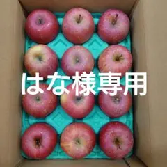 【はな様専用】