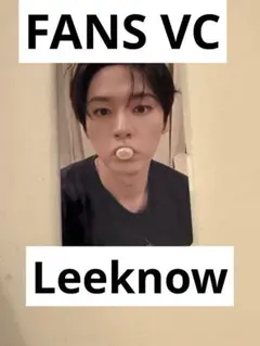 Straykids KARMAリノ FANS ヨントン VC トレカ