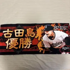 Item thumbnail for item 2ea66e04-4b1f-4376-9405-8d625cd1aa39