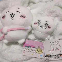 Item thumbnail for item 259ed506-9f8c-4851-a61c-b56371123613