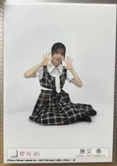 2026年最新】勝又春の人気アイテム - メルカリ
