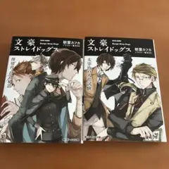 文豪ストレイドッグス 小説　2冊セット
