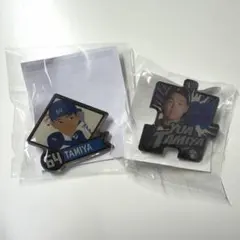 北海道日本ハムファイターズ 田宮裕涼 ピンバッジセット