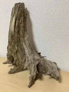 Item thumbnail for item 73eeaa94-d286-4588-9de7-35a53fdf2f4e