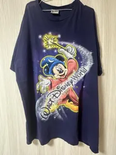 ウォルト・ディズニー・ワールド 2013年限定 Tシャツ タイダイ柄 XL 