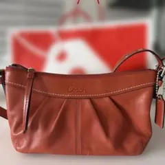 【正規品・カード付】COACH コーチ レザー ショルダーバッグ F14183