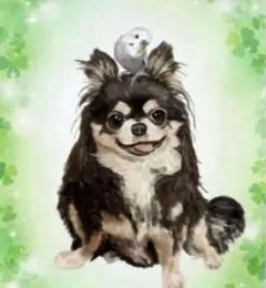 オーダーイラスト　ペット似顔絵　うちの子　ペットイラスト　犬　猫　うさぎ