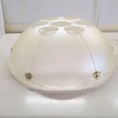 家庭用吊下型蛍光灯。電球付き。