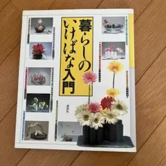 Item thumbnail for item ccd90125-8505-442a-a780-abe850f595d0