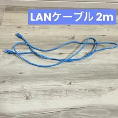 日本製線 LANケーブル Cat.5e 2m NSEDT