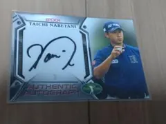 Item thumbnail for item cd78de55-0fee-4775-ad66-e68b16045cb5