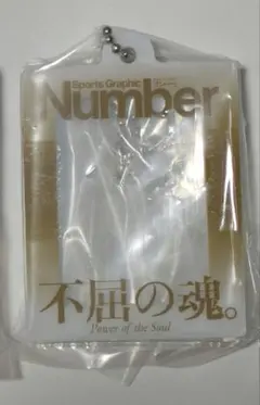 michi77様 不屈の魂