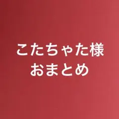 こたちゃた様 リクエスト 2点 まとめ商品