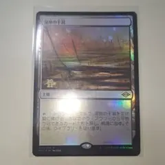 フェッチランド　拡張foil7枚セット フェッチランド 拡張foil7枚セット フェッチランド(全商品) - MTG専門