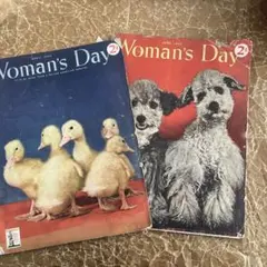 ジャンクジャーナル 洋書