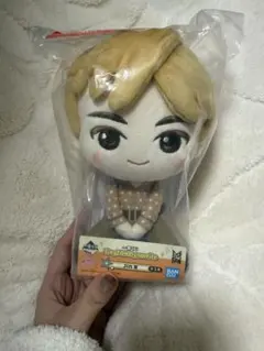 【新品】TinyTAN タイニータン くじ ぬいぐるみ Jin ジン