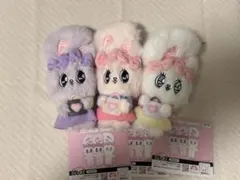 エスターバニー セット