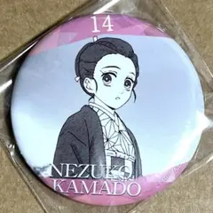 2025年最新】ピンバッジ2点の人気アイテム - メルカリ