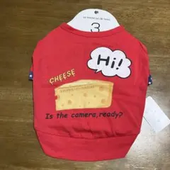 Item thumbnail for item d484f618-304f-4746-8cbc-df820ea090ee