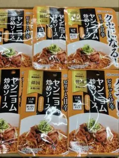 【賞味期限近いため特価】韓国 チョル麺ソース 50g×6個 万能 甘辛酸っぱいのサムネイル