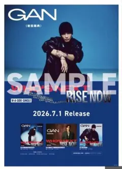 岩田剛典 GAN WHO'S NEXT ポスター - メルカリ