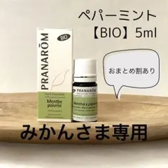 みかん様 リクエスト 2点 まとめ商品